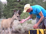 Frank offers food.