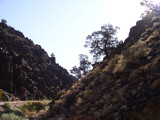 P7250012.JPG
