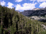 P7260056a.jpg