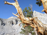 P7280139a.jpg
