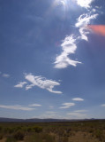 P7310065a.jpg