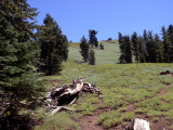 Mount Harkness ascent.