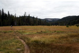 Hike starts through a meadow.