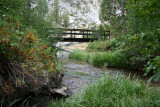 Pretty creek and setting.