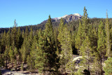 Lassen 336.jpg