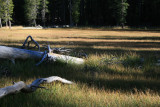 Lassen 345.jpg