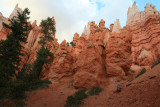 Hiking the Navajo Loop