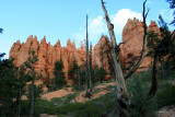 Hiking the Navajo Loop