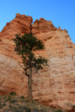 Hiking the Navajo Loop