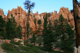 Hiking the Navajo Loop