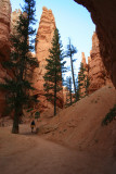 Hiking the Navajo Loop
