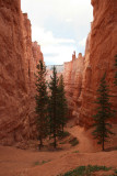 Hiking the Navajo Loop