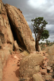 Hiking Cohab Canyon