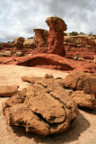 Hiking Cohab Canyon