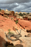 Hiking Cohab Canyon