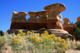The Devils Garden