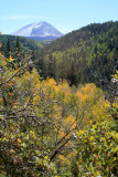 Mount Mellenthin in the distance