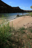 Lees Ferry area and the Colorado river