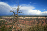 Views along the rim walk