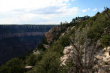 Lodge in the distance