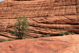 Hking the sandstone formations of Snow Canyon
