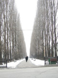 Cold walk Kiev Ukraine.JPG