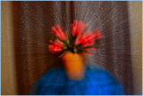 Flowered ZoomBlast