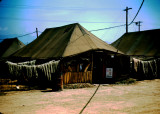 John MacDonald tent K-37 Spring 1951