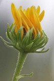 field-trip-347.jpg