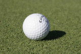 Golf-day-078.jpg