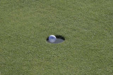 Golf-day-101.jpg