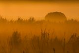 sunrise haystack