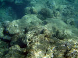 underwater 03.jpg