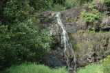 Waimea Valley 35.jpg