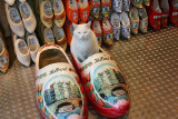 amsterdam_002.jpg