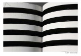 zebra 2 (abstract)