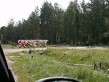 Soft toys for sale at roadside