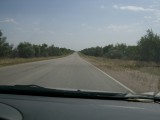 Tree lined road on way into Almaty region