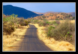 Route du Pilanesberg
