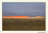 Les taches rouges de la plaine aux sables