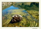 Lac vert en valle du Lys (Haute-Garonne)