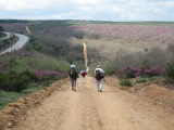 Down and up ramp in Monte de Oca