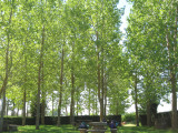 Peaceful rest area near Villarmentero de Campos