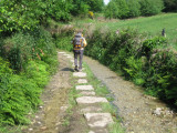 The narrow stepping stones going up