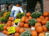 pumpkins