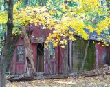abandoned