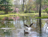 safe landing