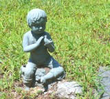 faithful companion