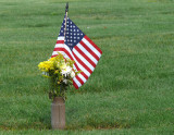 gravemarker in a veterans cemetery