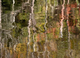 natures own monet